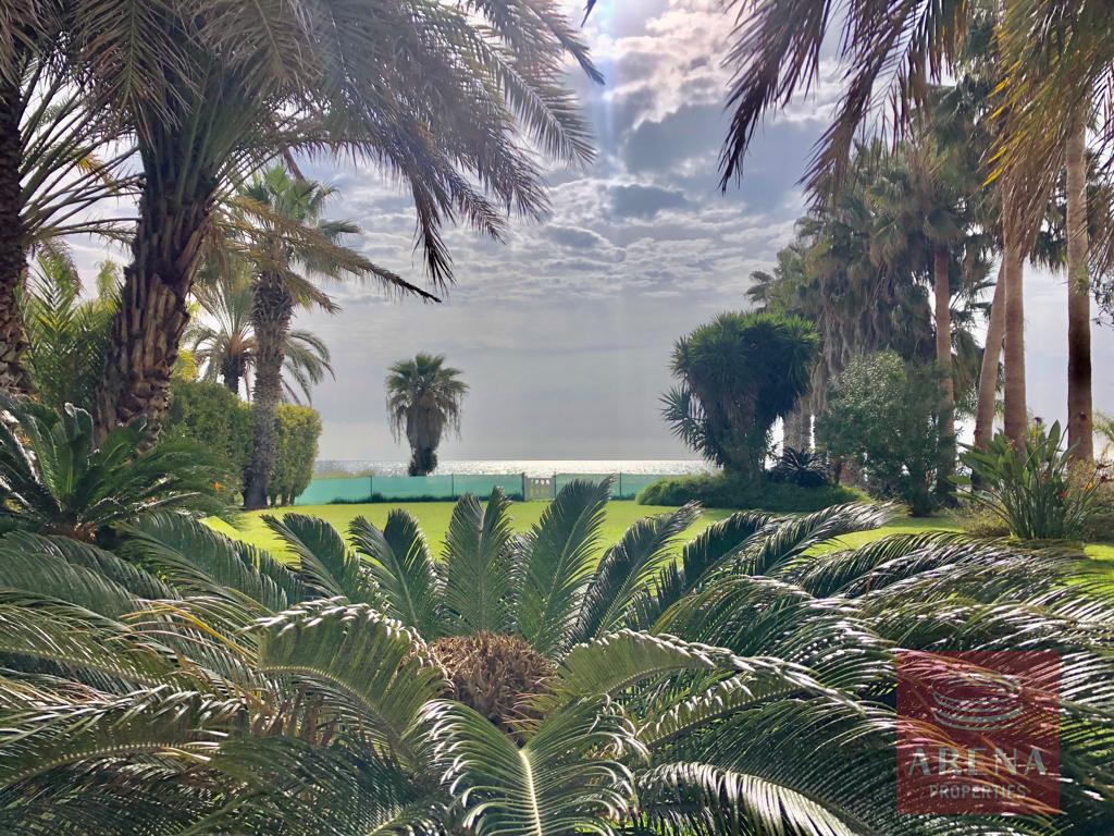 Villa for rent 450 m² in Perivolia Larnakas, Larnaca