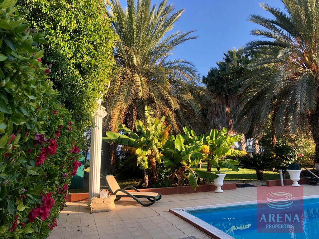 Villa for rent 450 m² in Perivolia Larnakas, Larnaca