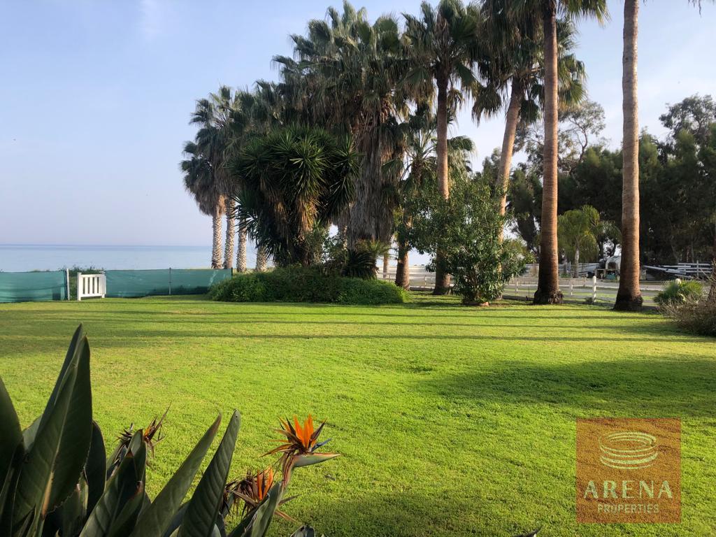 Villa for rent 450 m² in Perivolia Larnakas, Larnaca
