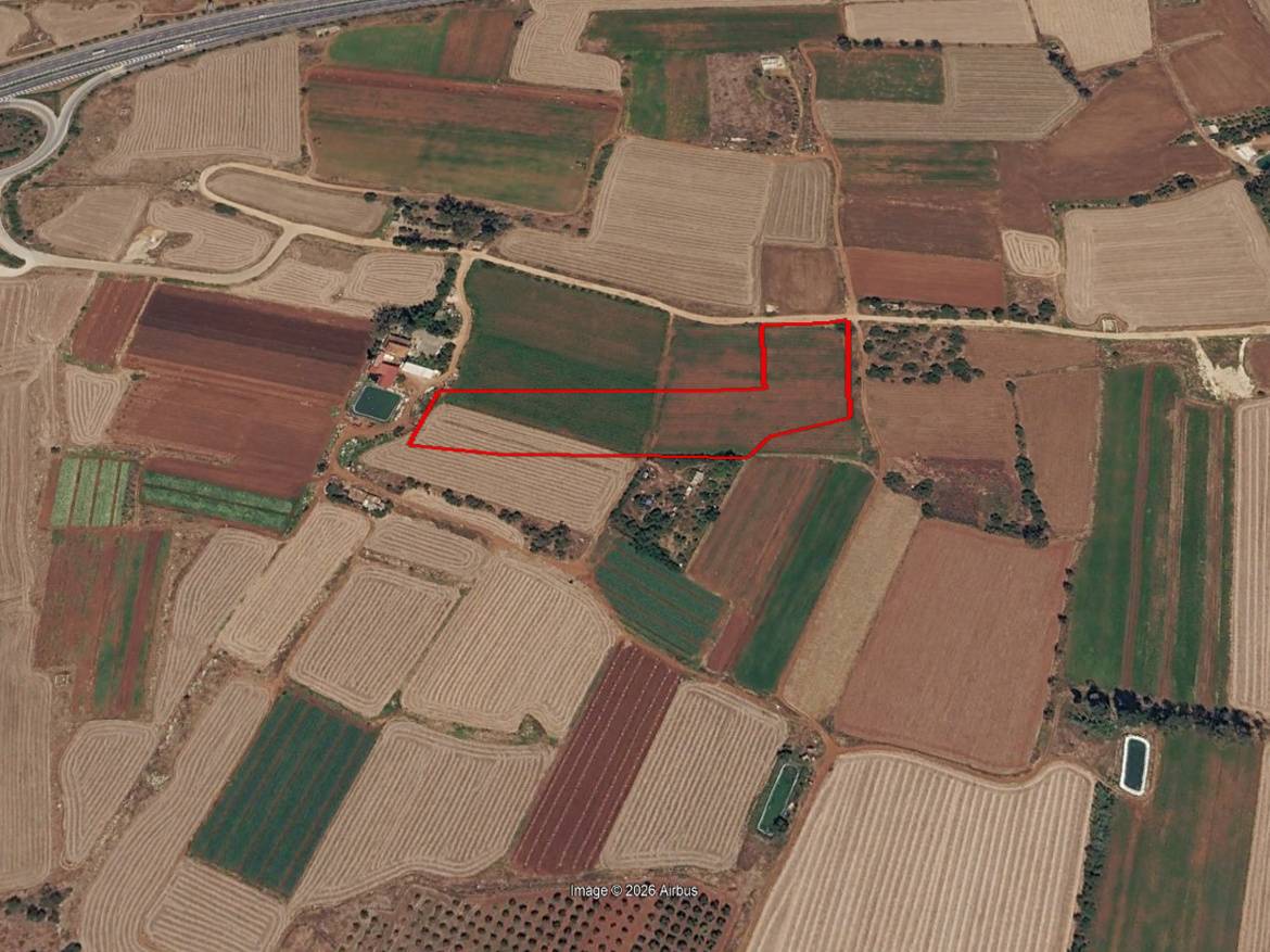 Land for Sale in Liopetri